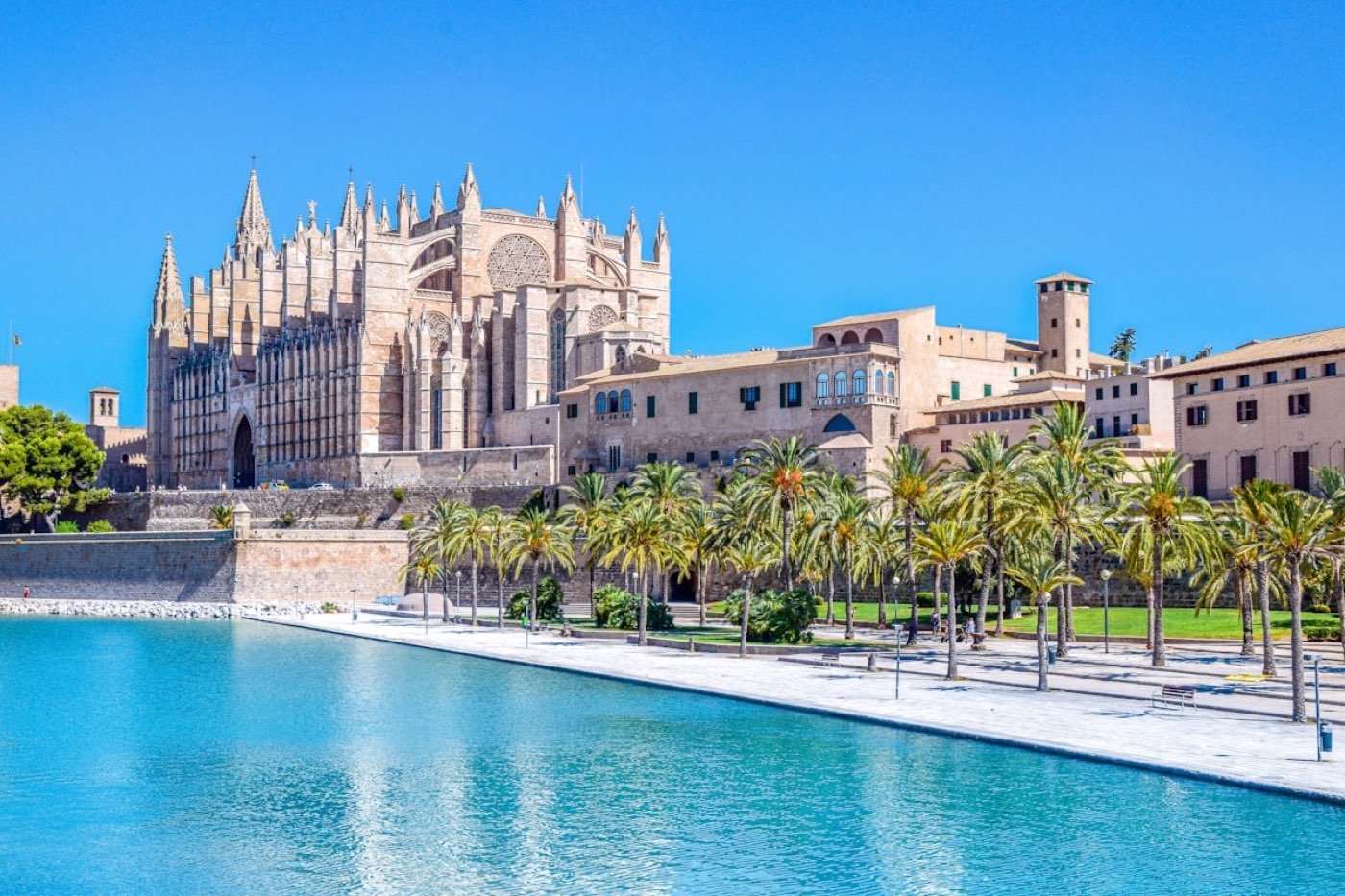 Palma Cathedral rising above the old town at sunset
