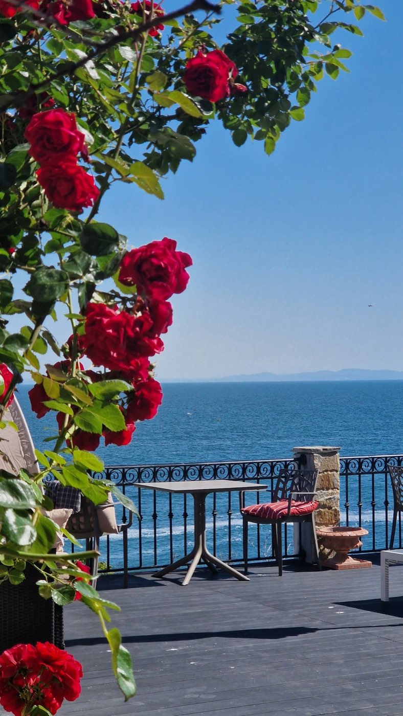A terrace framed by bougainvillea overlooking the Mediterranean